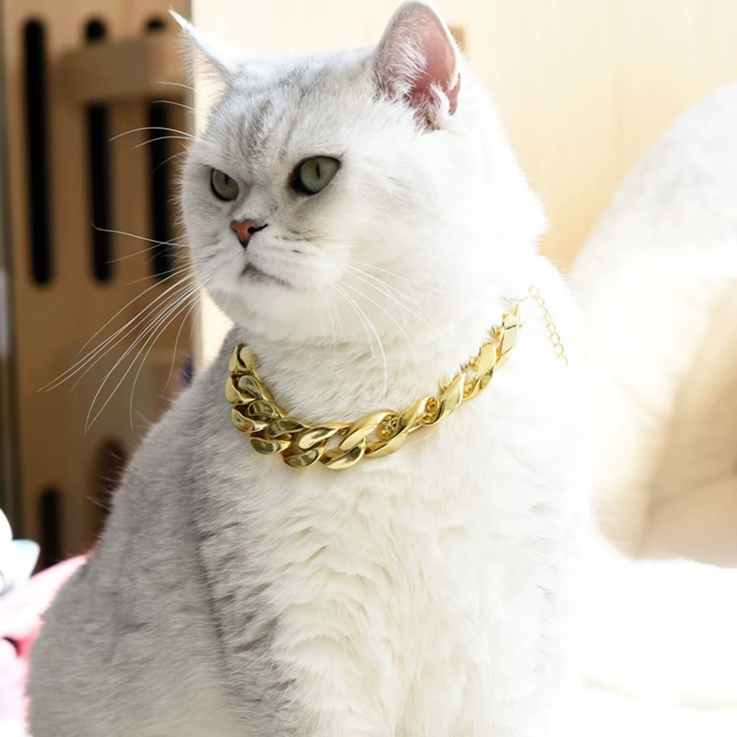 Фабрика прямой Ошейник Кошка воротник большой золотой цепи смолы цветные цепи животное кошка собака ожерелье