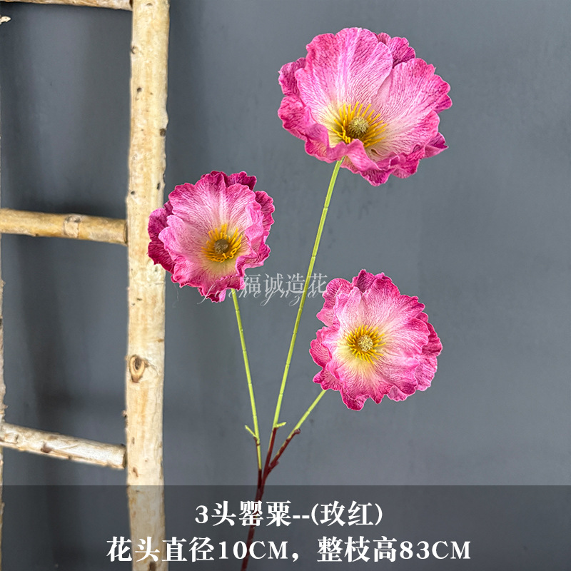 로즈 레드