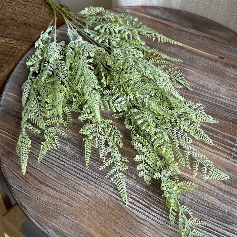 Adiantum 키가 큰 가지 흰색 스프레이