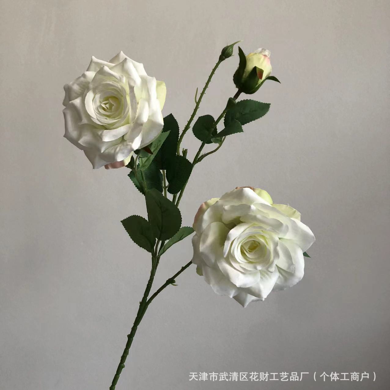 하얀색