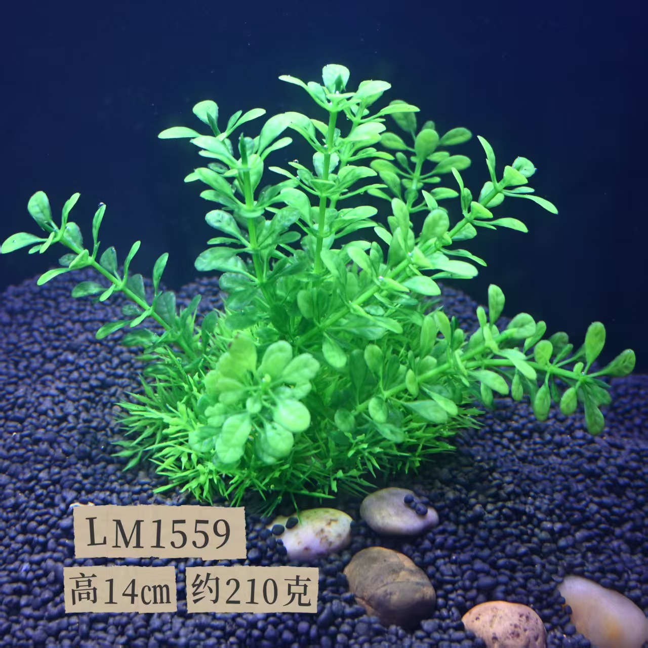 Acuario Decorativo — Césped Artificial y Plantas Acuáticas Plásticas (Fábrica)