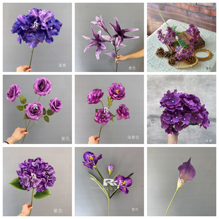 ��c���滨����ɫϵ�����u��ɫõ�彑��ٻ���Y�b��ֹ�·���廨