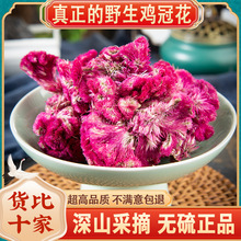 红鸡冠干货包邮批发红鸡冠花花鸡髻花鸡冠头另有白鸡冠花贡品