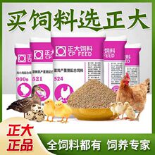 �������J���u�������900�g�������С�u�_�ڼZʳ�a���µ����r��