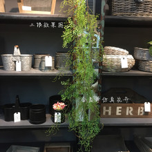 ����ާ�ֲ�������F��ާܛ�ٺ�â��ֲ���p�@�Gֲ��ֻ/����ڻ�ˇ