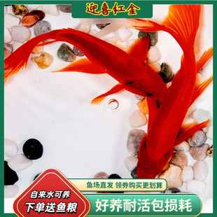 ���N�Pβ��t�ݽ��~С�\����ˮ�^�p�~����B�ͻ��ԁ�ˮ��ˮ���~��