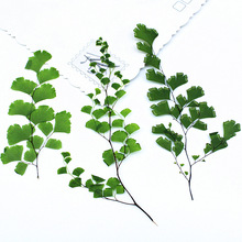 �F��ާ����~�����֙C��������ֲ��˱��ɻ�Ѻ������Ę���bɻ�