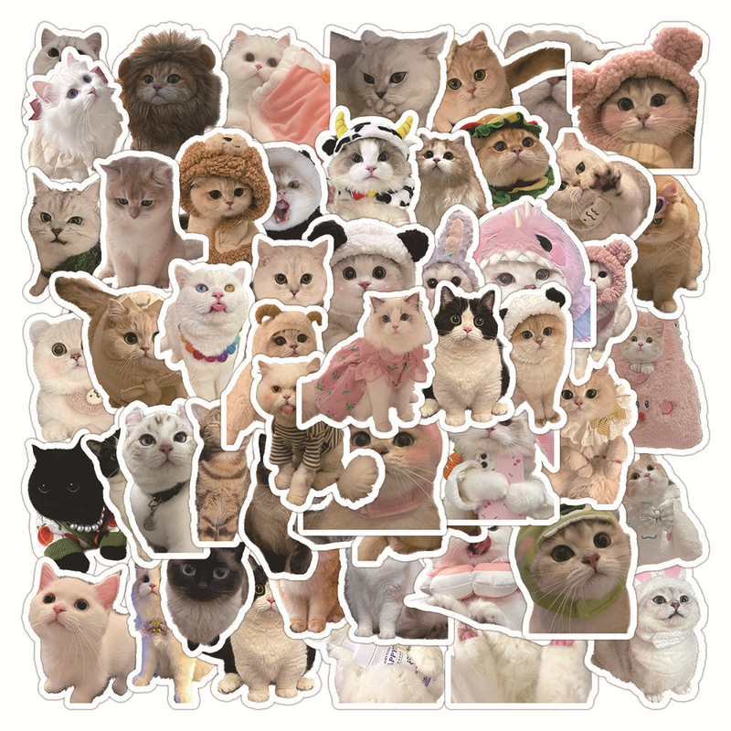 60 cute realistic cat cartoon cute stickers diy notebook stationery box guitar waterproof stickers wholesale 60 cute realistic cat cartoon cute stickers diy notebook stationery box guitar waterproof stickers wholesale