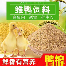 鸭饲料预混料小鸡个月小开口料宠物鸭蛋柯尔独立站包邮到家宠物品