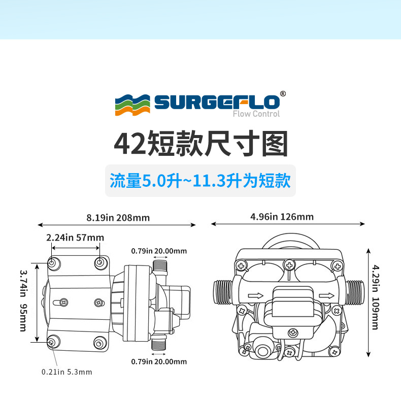 42款12v24v隔膜泵