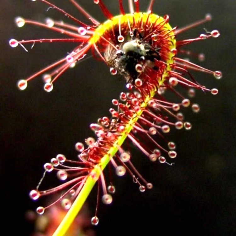 微信图片_20210520113016