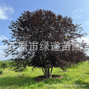 �|�����~����Ǥ��С�繤����ľ���~����3-15���օ����������~����