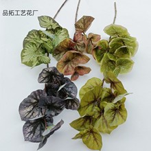 仿真绿植荷叶盆栽居家摆件2叉彩芋叶 婚庆婚礼堂花艺软装户外工程