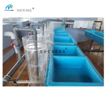 Sѭhˮ|~Z~ˮʯ~~ѷ͸~ѷƿ