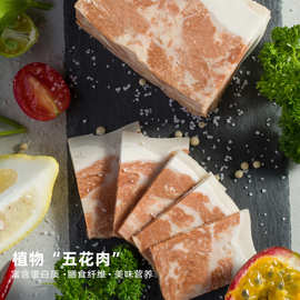 纯素植物肉系列酱牛肉五花肉午餐肉蛋白肉仿荤素肉