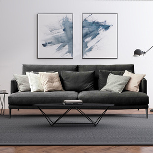 Fabric Sofa Double Three-Person Modern Simple Living Room Full Set Iron Latex Nordic Industrial Style Sofa for Small Apartment