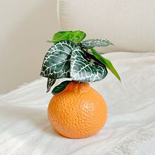 �B�����b�Ʒ�[����ƿ�͏d�廨����G�}ˮ��ˮ�B�k��������ˮ�Ҿ�