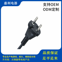 �WҎVDE�J�CH05RN-F���z�� 2*0.75ƽ���A������ĥ�͸��g�Դ��