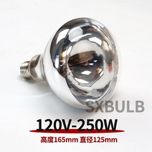 110V120V红外线保温灯泡亚马逊直供美规欧规少量现货保温灯泡卤素