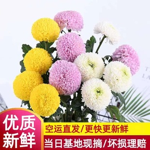 ƹ�Ҿ��r��ֱ����ϻ���ֱ�������c���Ô[���Fُ���û��r�л�