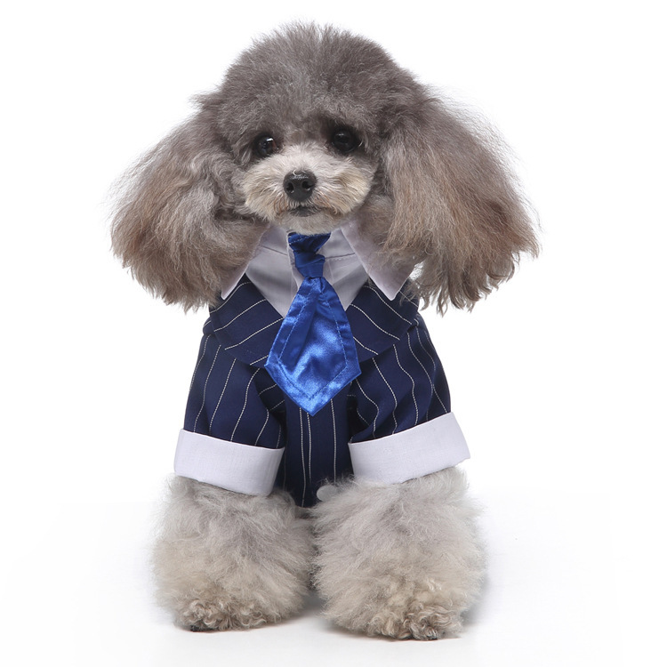 LF10 블루 스트라이프 타이 슈트