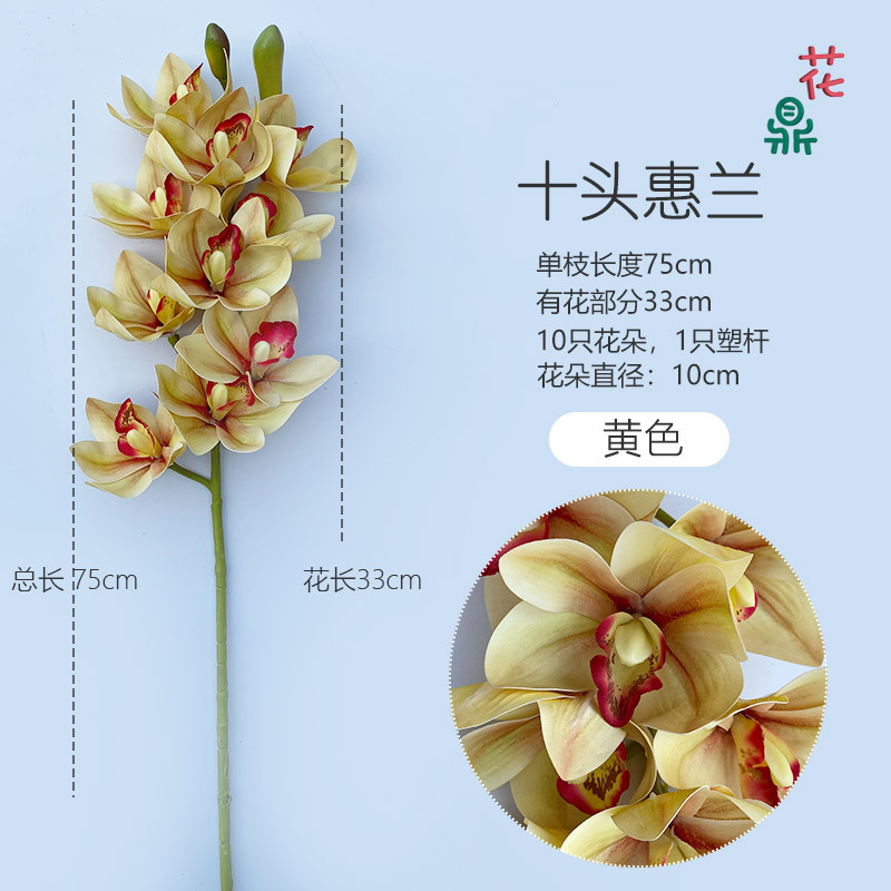 10 머리 whilan 노란색