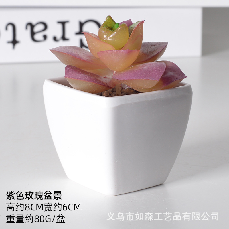 Simulación de plástico carnoso bonsai flor falsa combinación oficina interior escritorio plantas verdes pequeños adornos plantas artificiales al por mayor image 62