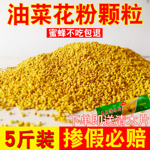 rapeseed pollen feeding beekeeping natural medium bee hybrid pollen particles bee food bee feed