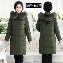 �����ش�a�֋�����q���Ӵ�ӷ�200��300���؇�174�����·�