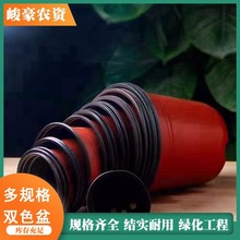 �pɫ����⻨�������pɫ��������������Ӻ�ppܛ����ֲ�ﻨ������