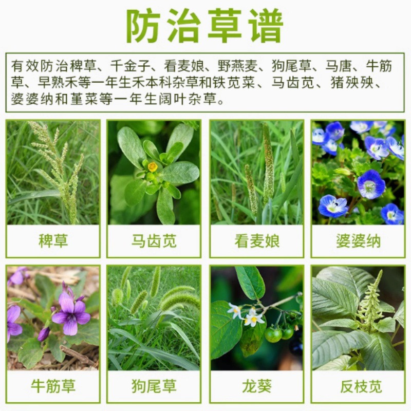 大豆花生田苗后除草剂三联袋烯草酮氟磺胺草醚精喹禾灵三元复配