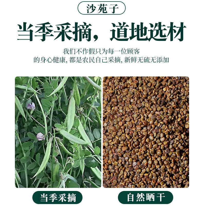 Sha Yuan Zi Astragalus Seed Tea Herbs 100g Dried Flastem Milkvetch Seeds for Daily Herbal Infusion quality and texture