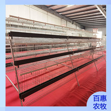 源头工厂养殖养鸡设备育雏笼三层四层立式阶梯蛋鸡笼肉鸡笼