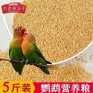 ��Ʒ�S���ӎ���С�׻�Ƥĵ�����P��С���W�^���B�B�Z�Bʳ�B���