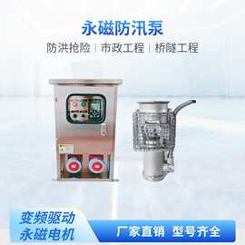 市政地铁隧道工程用大流量永磁变频不锈钢防汛排涝轴流潜水潜污泵