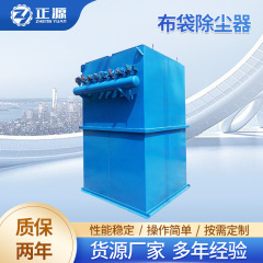 単体パルス布袋集塵器工業ボイラー石炭粉塵収集器サイクロン袋式除塵設備カスタム