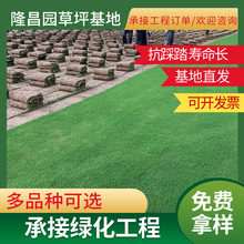 ��Ƥ�������ƺ�e��ͥԺ�G���ļ�����׻����޼��ӹ�����