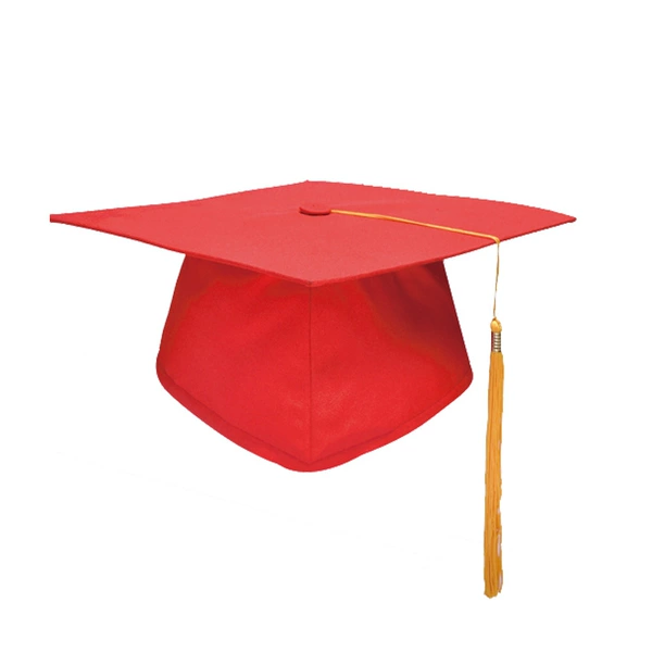Adult Hat Cardboard