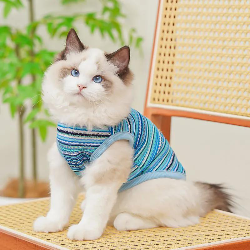 Mascotas de verano nueva ropa de chaleco de color hueco lindo que oso Teddy gato azul perro delgado y corto