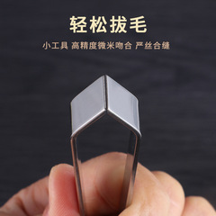 GDAY Thickened Stainless Steel Kitchen Hair Removal Clip, Fishbone Clip, Pig Hair Remover, Goose Feather Clip, Mini Tool Clip