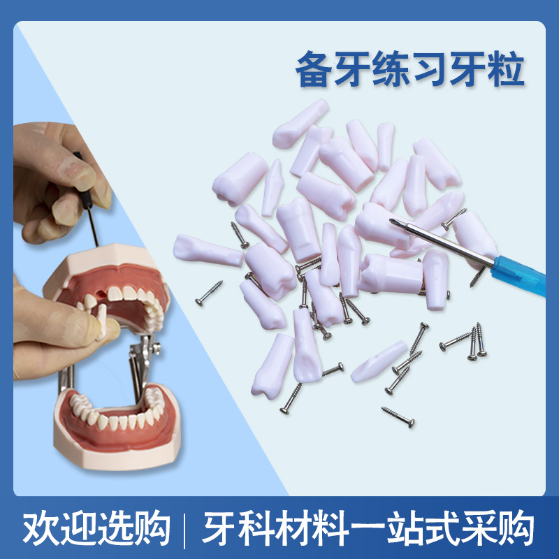 Dientes de Resina para Práctica Dental de 28 Piezas