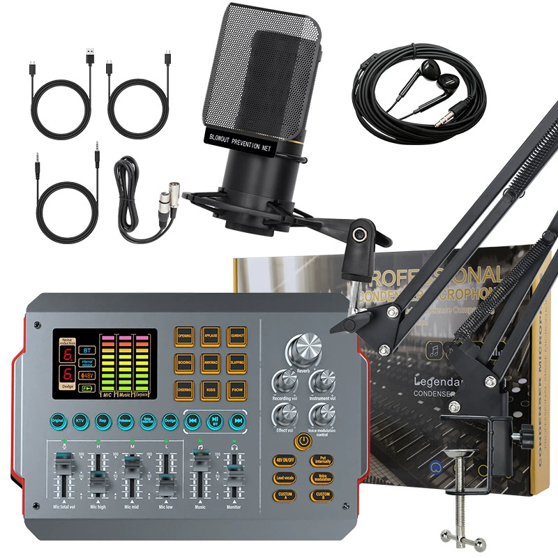 2024 новая живая звуковая карта поет с музыкальным инструментом