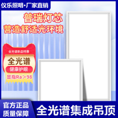 全スペクトル埋め込み型LEDフラットライト統合吊り天井30*30 × 60cm稜晶板ライトキッチンライト工事灯