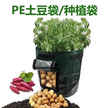 ��ɫPE�������t���Nֲ���@ˇֲ�����L�����R�d�S�ҬF؛���l�NֲͰ