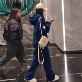 休闲套装女款2024年春季新款蓝色连帽宽松加厚长袖卫衣两件套女装