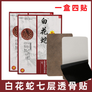 �׻����ߌ�͸���N�i�������P���N���N�����N�����ܽ����N��