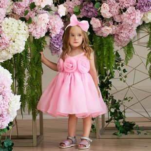 Foreign trade new baby princess dress baby birthday party dress three-dimensional corsage condole dress
