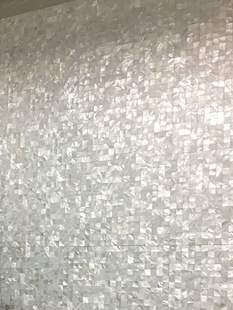 AFSJ Shell Mosaic Natural Super White Seamless Pair Fish Pond Living Room Entrance Background Wall Tile Jue Qin