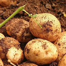 ���������ں�����ʩ�S��С�������r�����ɽС�����R����F�ڰl؛