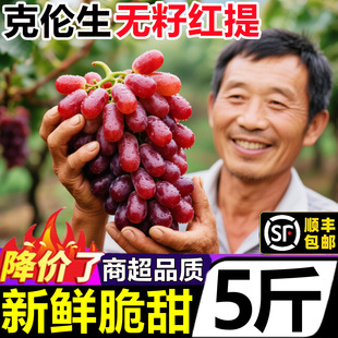 �Ĵ����ɽ�˂����o�Ѽt���ЋDˮ�����r��������10�����o������